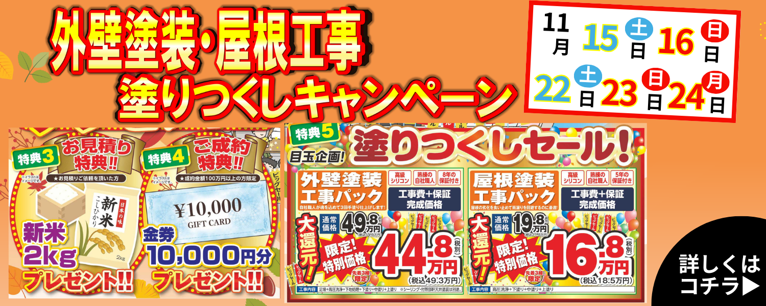 年内最後の塗りつくしキャンペーン